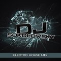 DJ Sokolowsky - DJ Sokolowsky - Electro House Mix (Mixed On 18.06.13)