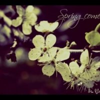 Sr. AlexSnakes - Spring comes (CUT)