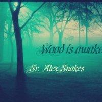Sr. AlexSnakes - Wood is awake (CUT)