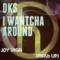 Joy Vega - DKS, Lookback vs. Mr Kingsize feat Dr Yugo - I Wantcha Around (Joy Vega Mash up)