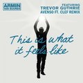 AVENSO - Armin van Buuren ft. Trevor Guthrie - This is What it Feels Like (Avenso ft. Clef remix)