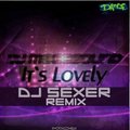 Dj Sexer - Dj MegaSound - it's Lovely (Dj Sexer remix)