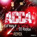 DJ Rodion - DJ HaLF & Will D - Асса (X-Hard & Dj Rodion Remix)