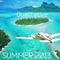 D.J.Q - Qualitative - Summer 2013