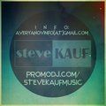 Steve Kauf - David Guetta feat. Ne-Yo & Akon - Play Hard (Steve Kauf Remix)