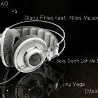 Joy Vega - LMFAO vs Disco Fries feat. Niles Mason - Sexy Don't Let Me Down (Joy Vega mash up)