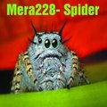 Hi-Tech Music Label - MERA228 - Spider (Original Mix)