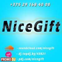 Divens - NiceGift - Trendy Noise