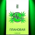 Bumbarash - Сектор Газа feat MODO & Бумбараш - Травушка зеленая