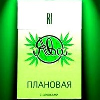Bumbarash - Сектор Газа feat MODO & Бумбараш - Травушка зеленая