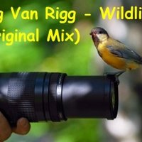 Zag - Zag Van Rigg - Wildlife (Original Mix)