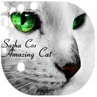 Sasha Cos - Sasha Cos - Amazing Cat ( Original Mix )