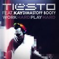DimastOFF - Tiesto feat. Kay - Work Hard, Play Hard (DimastOFF Booty Mix)
