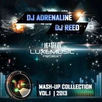 DJ Adrenaline - Pakito vs A-Peace - Living On Video (Dj Reed & Dj Adrenaline Mash-Up)