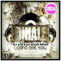 Dj Ayk - DJ HaLF  – I Can't Get You (DJ Ayk & DJ Sexer remix)