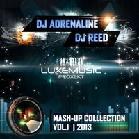 DJ Adrenaline - 2NE1 Feat. Will.I.Am vs Deorro - Take The World (Dj Reed & Dj Adrenaline Mash-Up)