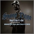 Twinrise - Snoop Dog vs. Snake - Drop it like it's (SNAKE feat. Roma Beat Mash-up 2013)