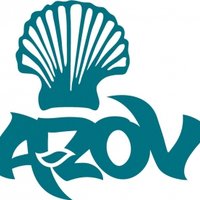 Alexey Partyzan - New Stream (Special mix for A-ZOV FEST 2012)