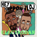 ElectroDan - Hey DJ