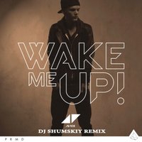 SHUMSKIY - AVICII – Wake Me Up (DJ SHUMSKIY remix)