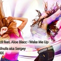 DJ Shulis aka Sergey - Avicii feat. Aloe Blacc - Wake Me Up (DJ Shulis aka Sergey Remix)