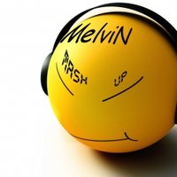 MelviN - Wiley vs. John Dish - Can You Hear Me (Dj MelviN MashUp 2k13)