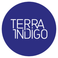 Terra Indigo - Я вышел из дома