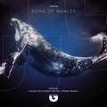 DENINE - DENINE - Song of whale (MoFunk Remix)