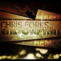 Ne FuckT - Chris Forks - «ENDORPHIN» (NE FUCKT RMX)