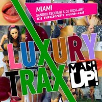 DJ TKACHYOFF - DJ Rich-Art & Sandro Escobar  vs  BLACK  - Miami (DJ TKACHYOFF mash-up)