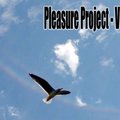 Pleasure Project - vol.4