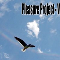Pleasure Project - vol.4