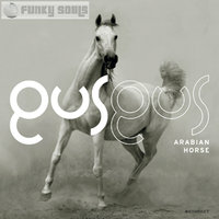 Dj Sev@ - GusGus - Arabian Horse ( Dj Sev@ Bootleg )