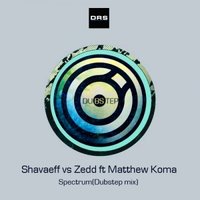 Shavaeff - Spectrum (Dubstep mix)