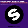 Antony Rudenko - Norman Doray and NERVO ft. Cookie - Something To Believe In(Antony Rudenko Remix)