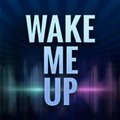 Vadim Semenec - Avici Vs. A-Paece Vs ♪ Busta Rhymes - Wake Me Up (Dj Gop-Stop MashUp)