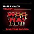 Dj Allyans - W&W & CALOR - TRIUMPH (DJ ALLYANS BOOTLEG)