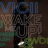 Dj Pioneer - Avici&Little Bad Girl - Wake Me Up(DJ PIONEER MASH UP)