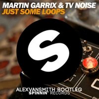 DJ AlexVanSmith - Martin Garrix & TV Noise – Just Some Loops (AlexVanSmith Bootleg)