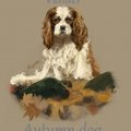 Vander - Autumn dog (Original mix)