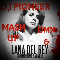 Dj Pioneer - Lana Del Ray&DMX -Summertime Sadness(DJ PIONEER MASH UP)