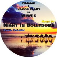 Pavel Palmov - Tujamo & Jacob Plant vs. Wiwek -  Night in Bollydome ( PAVEL PALMOV Mash Up ).