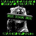 DJ IvA XL - Deorro & ZooFunktion vs.Martin Garrix - Hype Animals (DJ IvA XL MASH UP 2013)