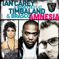 DMC Tayllor - Ian Carey & Rosette ft. Timbaland & Brasco – Amnesia (Mix)