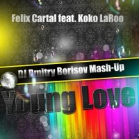 MeeT - Felix Cartal feat. Koko LaRoo & Kaskade(Chocolate Puma) - Young Love(DJ Dmitry Borisov Mash Up)