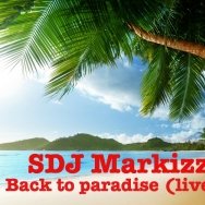 Strip-DJ MARKIZZ - Back to Paradise (live mix)