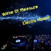 DJ LITOVKA - Wave Of Pleasure