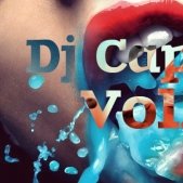 Dj Caprica - Dj Caprica -Vol.4(Mix 2013)