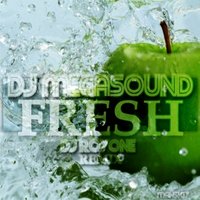 DJ RoyOne - Dj MegaSound – Fresh (DJ RoyOne Remix)