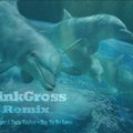 LinkGross - Sunlounger & Zara Taylor-Try To Be Love(LinkGross Remix )